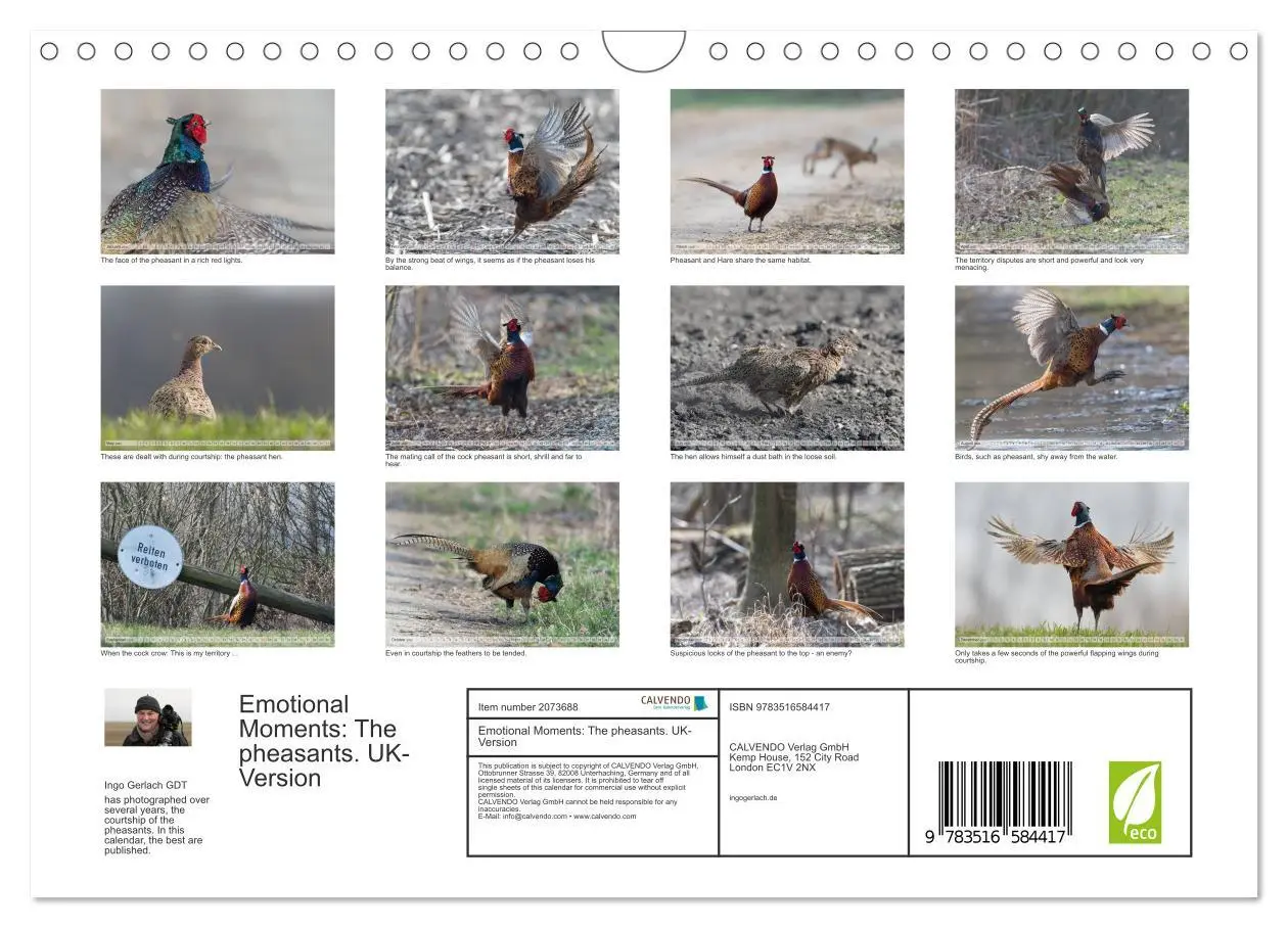 Bild: 9783516584417 | Emotional Moments: The pheasants. UK-Version (Wall Calendar 2026...