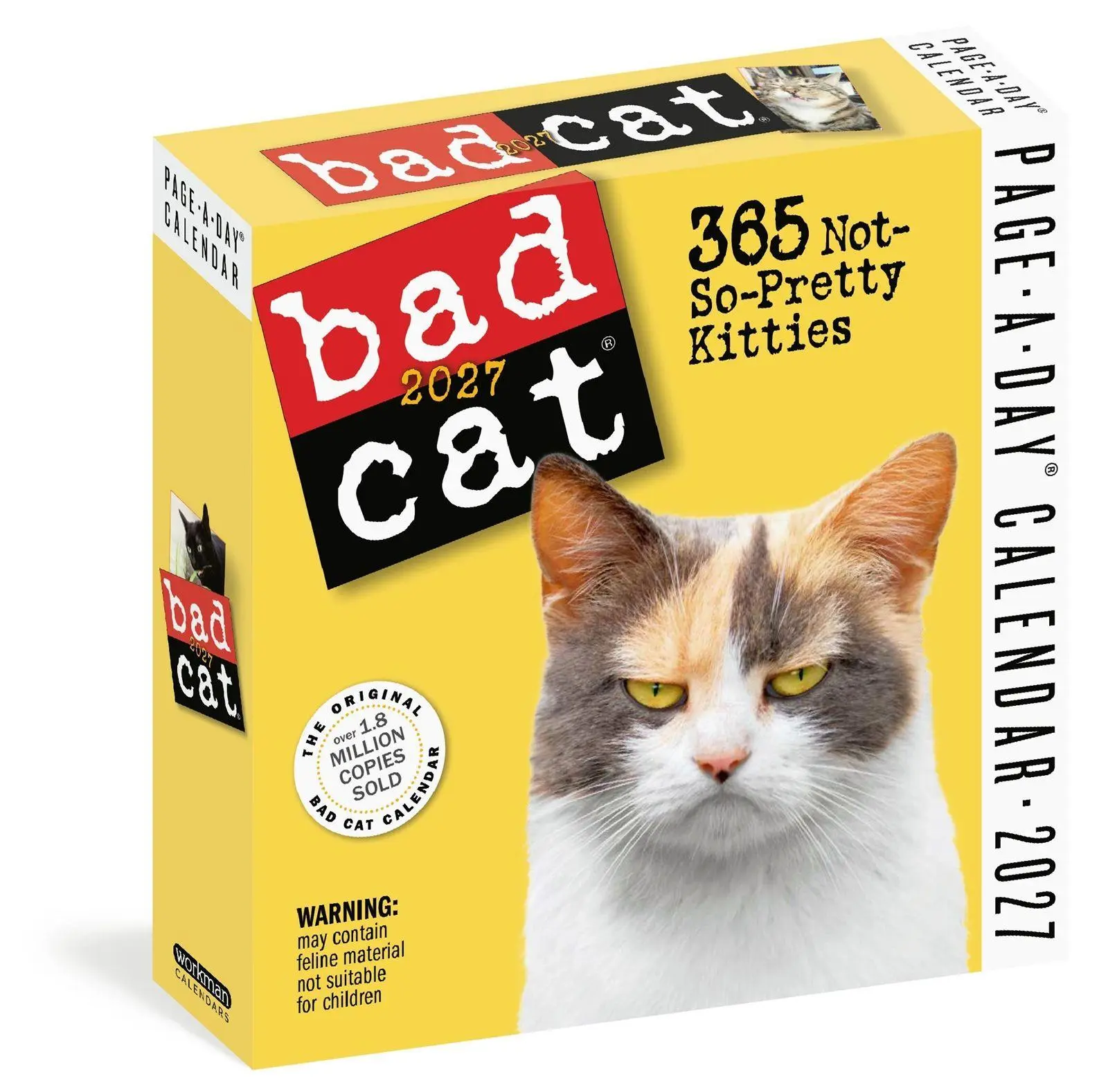 Cover: 9781523534517 | Bad Cat Page-A-Day(r) Calendar 2027 | 365 Not-So-Pretty Kitties | 2027