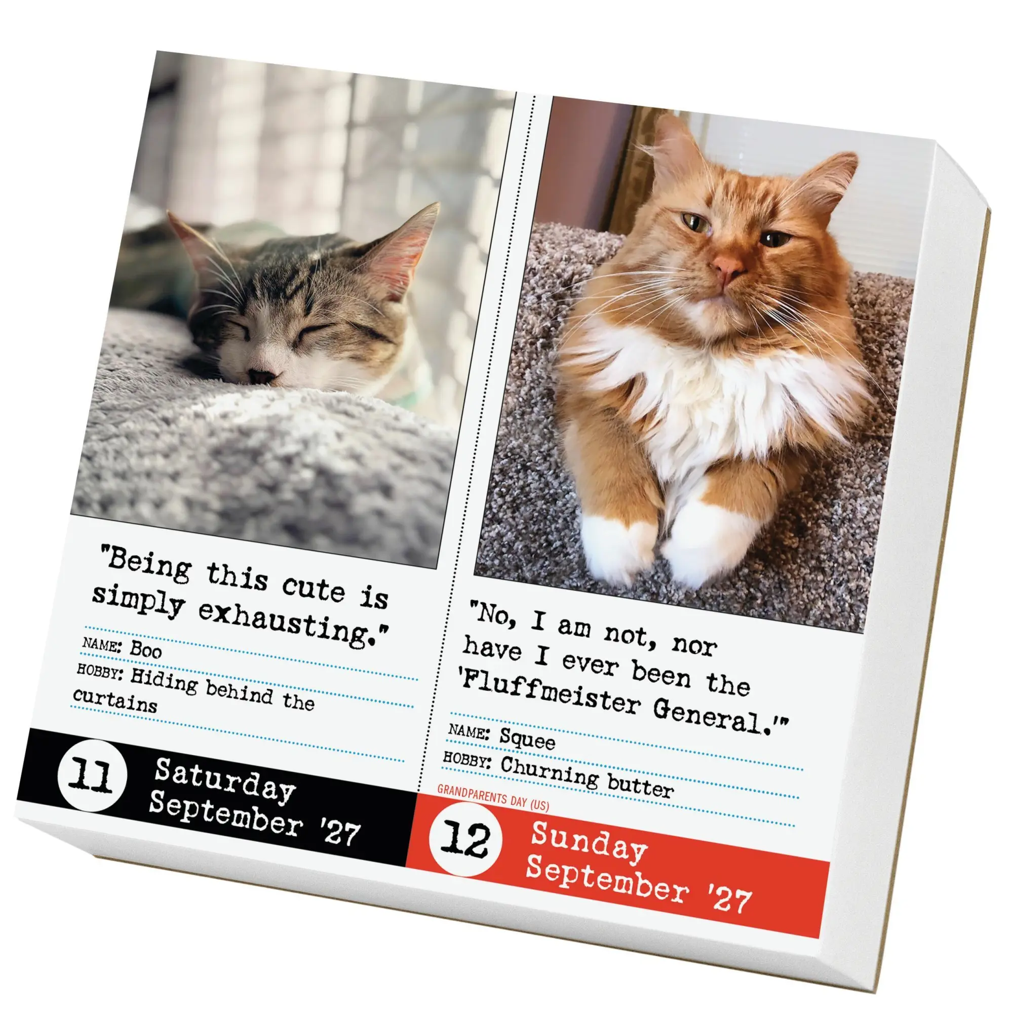 Bild: 9781523534517 | Bad Cat Page-A-Day® Calendar 2027 | 365 Not-So-Pretty Kitties | 2027