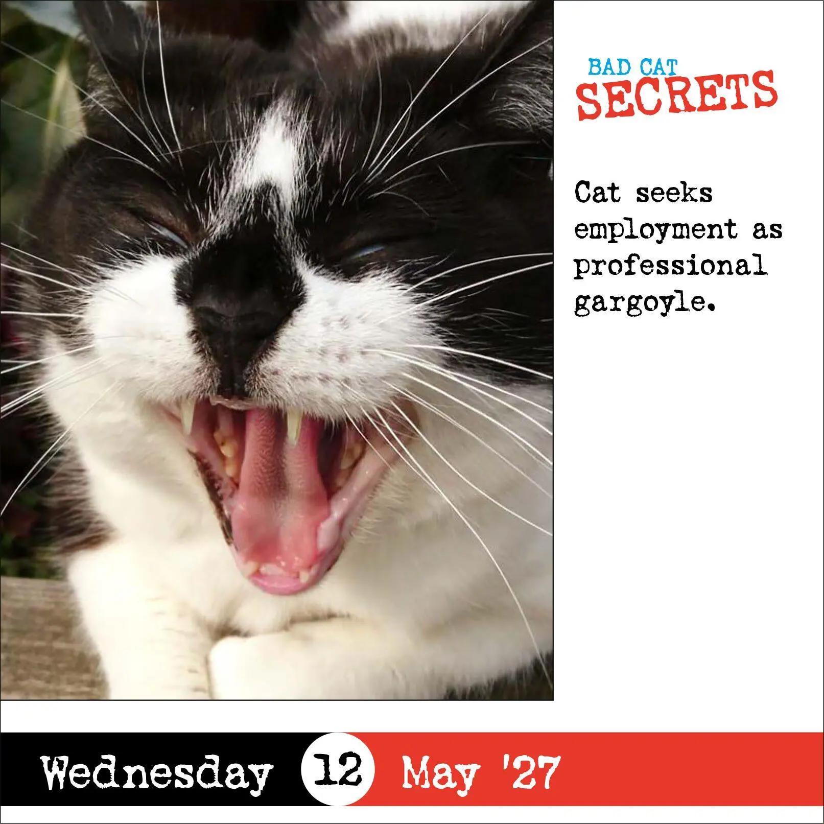 Bild: 9781523534517 | Bad Cat Page-A-Day® Calendar 2027 | 365 Not-So-Pretty Kitties | 2027