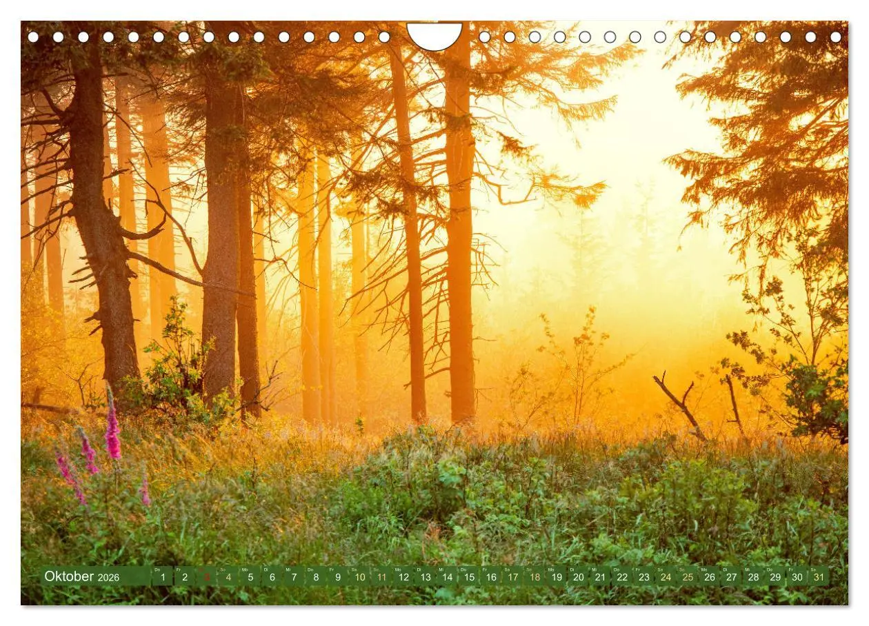 Bild: 9783457314517 | Farben und Muster der Erde (Wandkalender 2026 DIN A4 quer),...