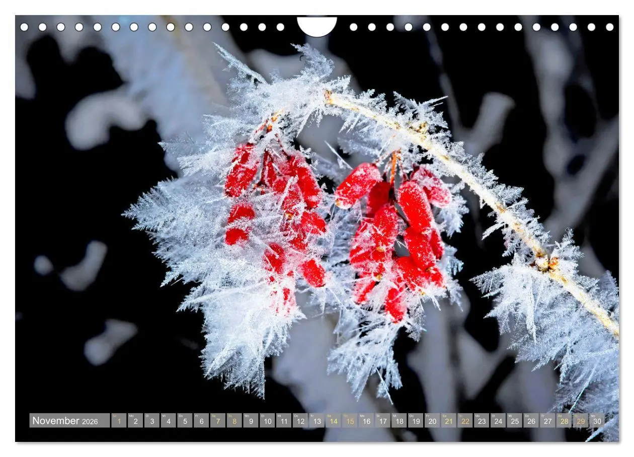 Bild: 9783457314517 | Farben und Muster der Erde (Wandkalender 2026 DIN A4 quer),...