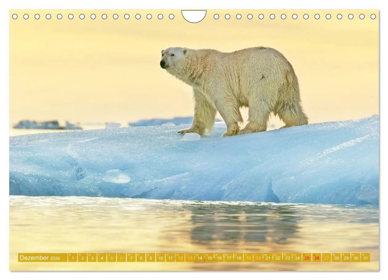Bild: 9783457314517 | Farben und Muster der Erde (Wandkalender 2026 DIN A4 quer),...
