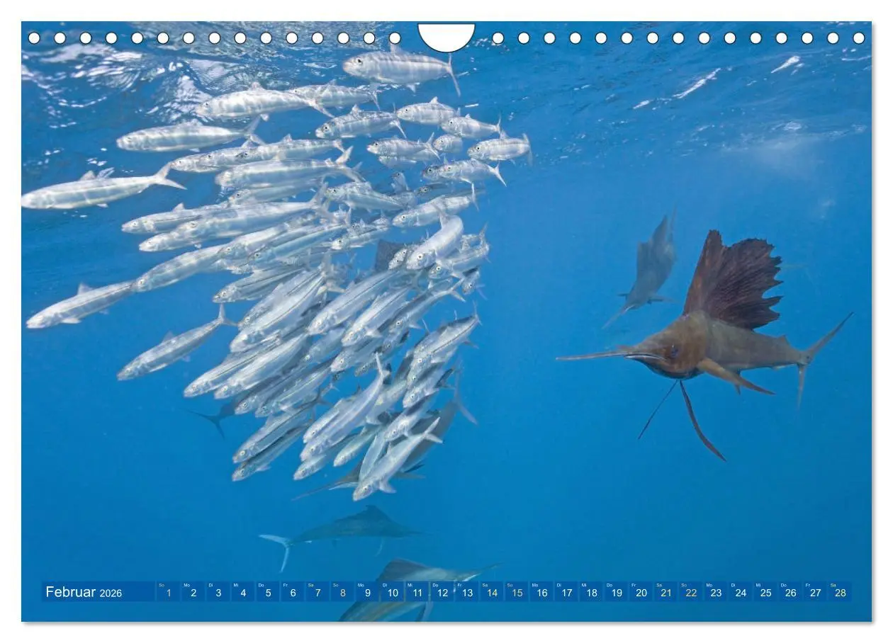 Bild: 9783457314517 | Farben und Muster der Erde (Wandkalender 2026 DIN A4 quer),...