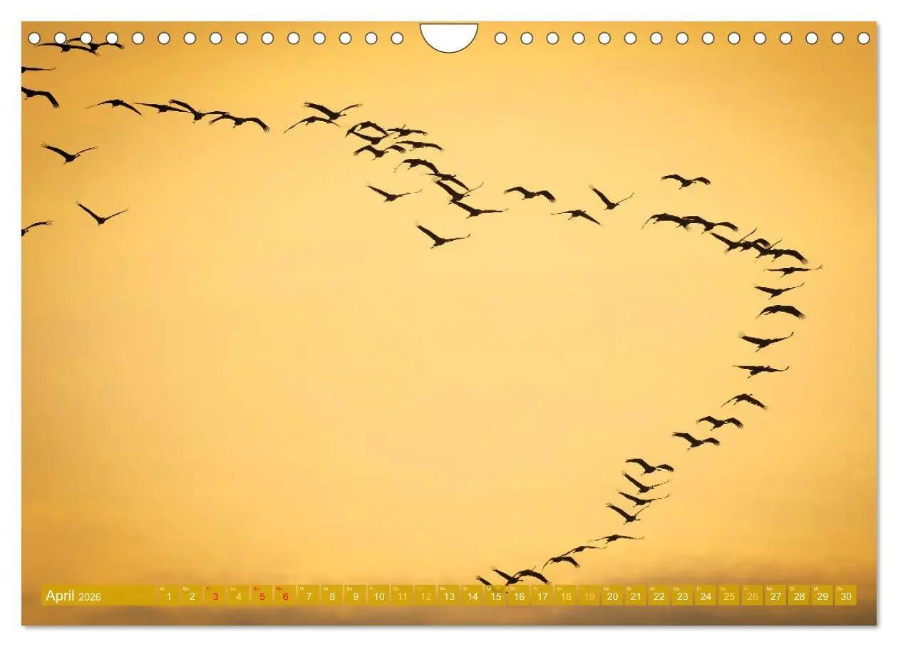 Bild: 9783457314517 | Farben und Muster der Erde (Wandkalender 2026 DIN A4 quer),...
