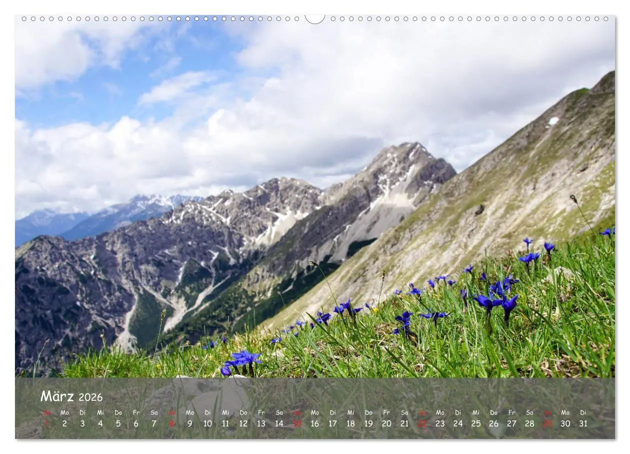 Bild: 9783457794517 | Ammergauer Alpen (Wandkalender 2026 DIN A2 quer), CALVENDO...