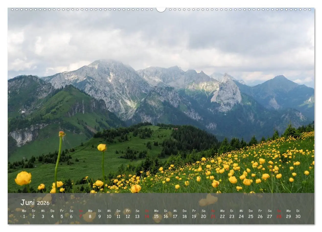 Bild: 9783457794517 | Ammergauer Alpen (Wandkalender 2026 DIN A2 quer), CALVENDO...