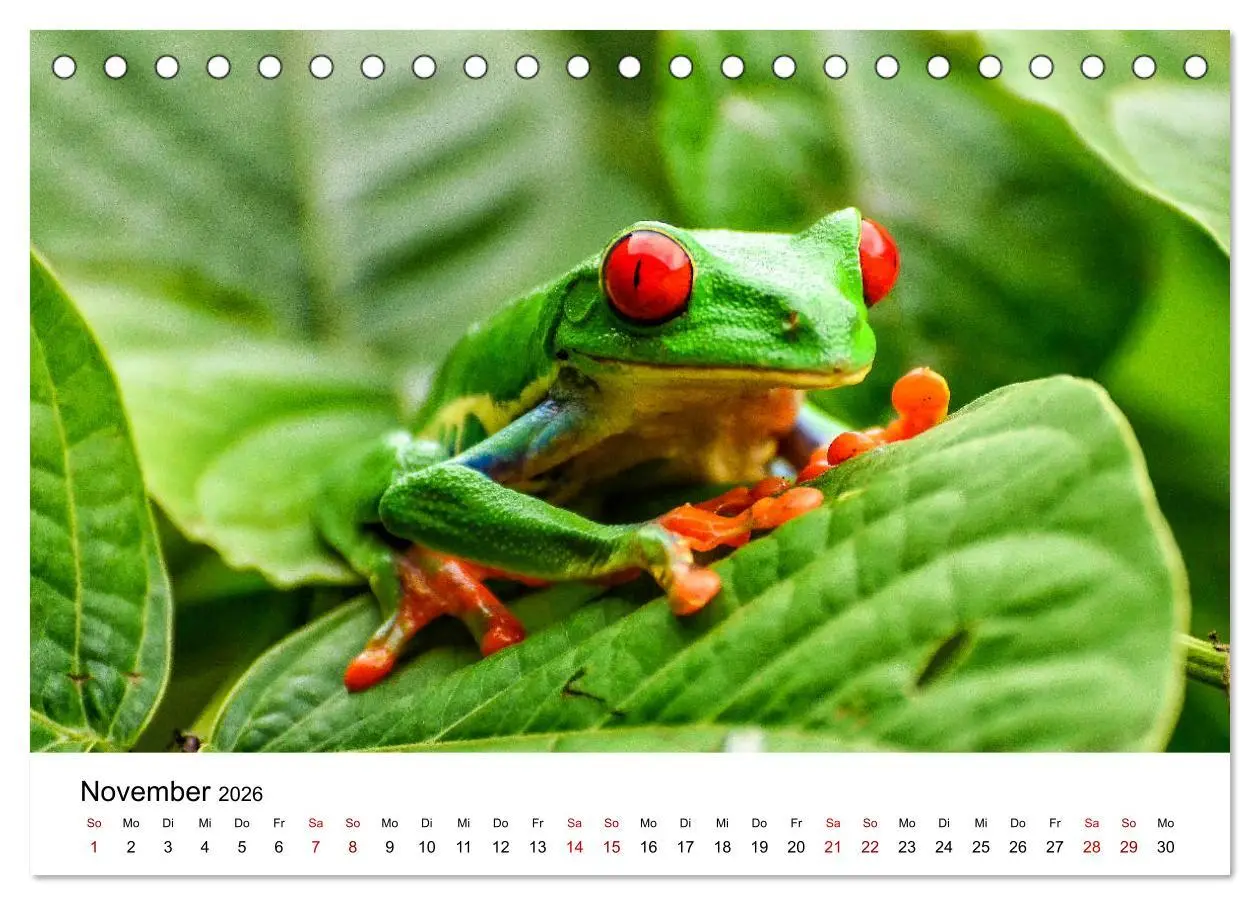 Bild: 9783457924617 | Costa Rica - das Naturparadies (Tischkalender 2026 DIN A5 quer),...