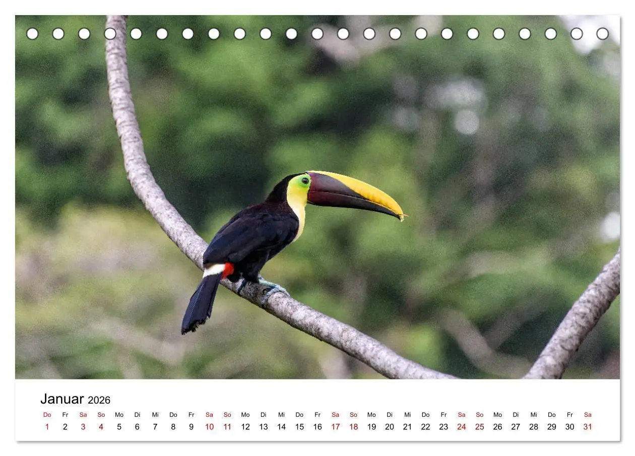 Bild: 9783457924617 | Costa Rica - das Naturparadies (Tischkalender 2026 DIN A5 quer),...