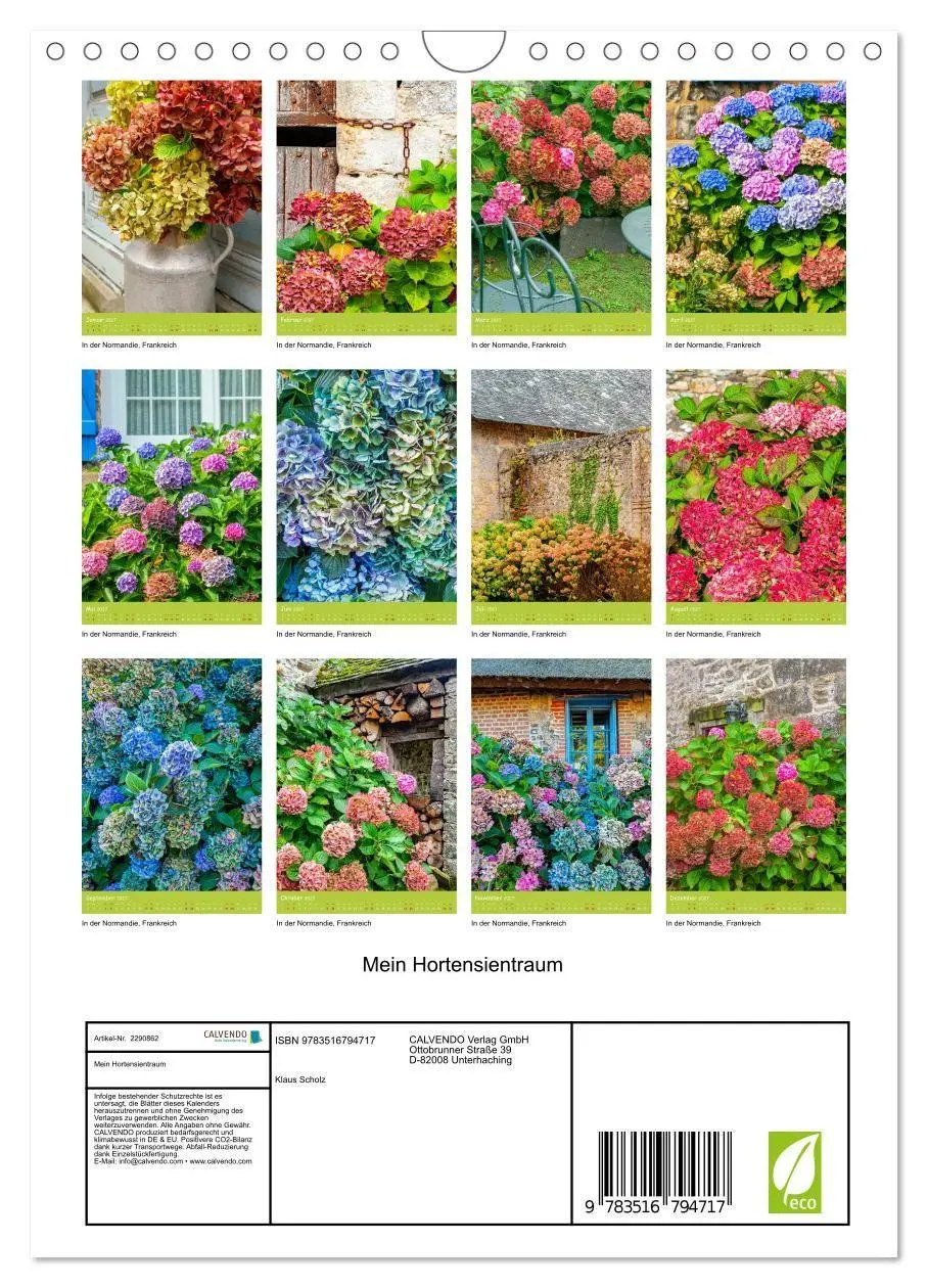 Bild: 9783516794717 | Mein Hortensientraum (Wandkalender 2027 DIN A4 hoch), CALVENDO...
