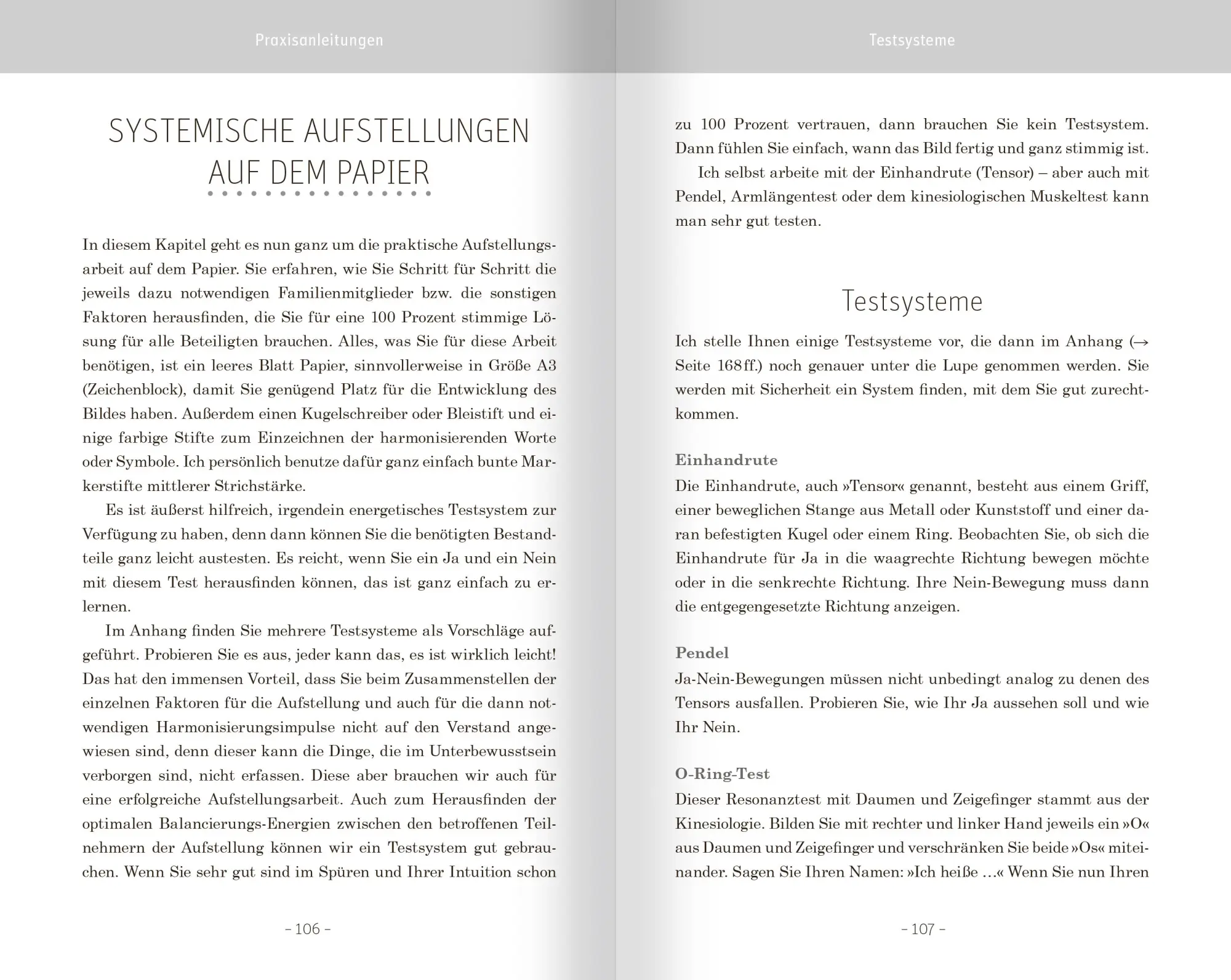 Bild: 9783863744717 | Familienstellen mit Symbolen | Roswitha Stark | Taschenbuch | 208 S.