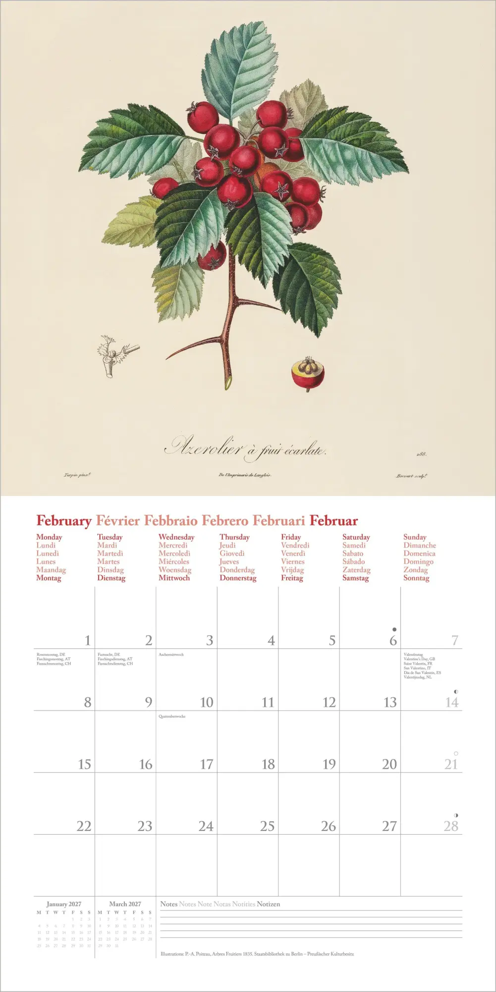 Bild: 4069095014817 | Fruits 2027 | Neumann Verlage GmbH &amp; Co KG | Kalender | 14 S. | 2027
