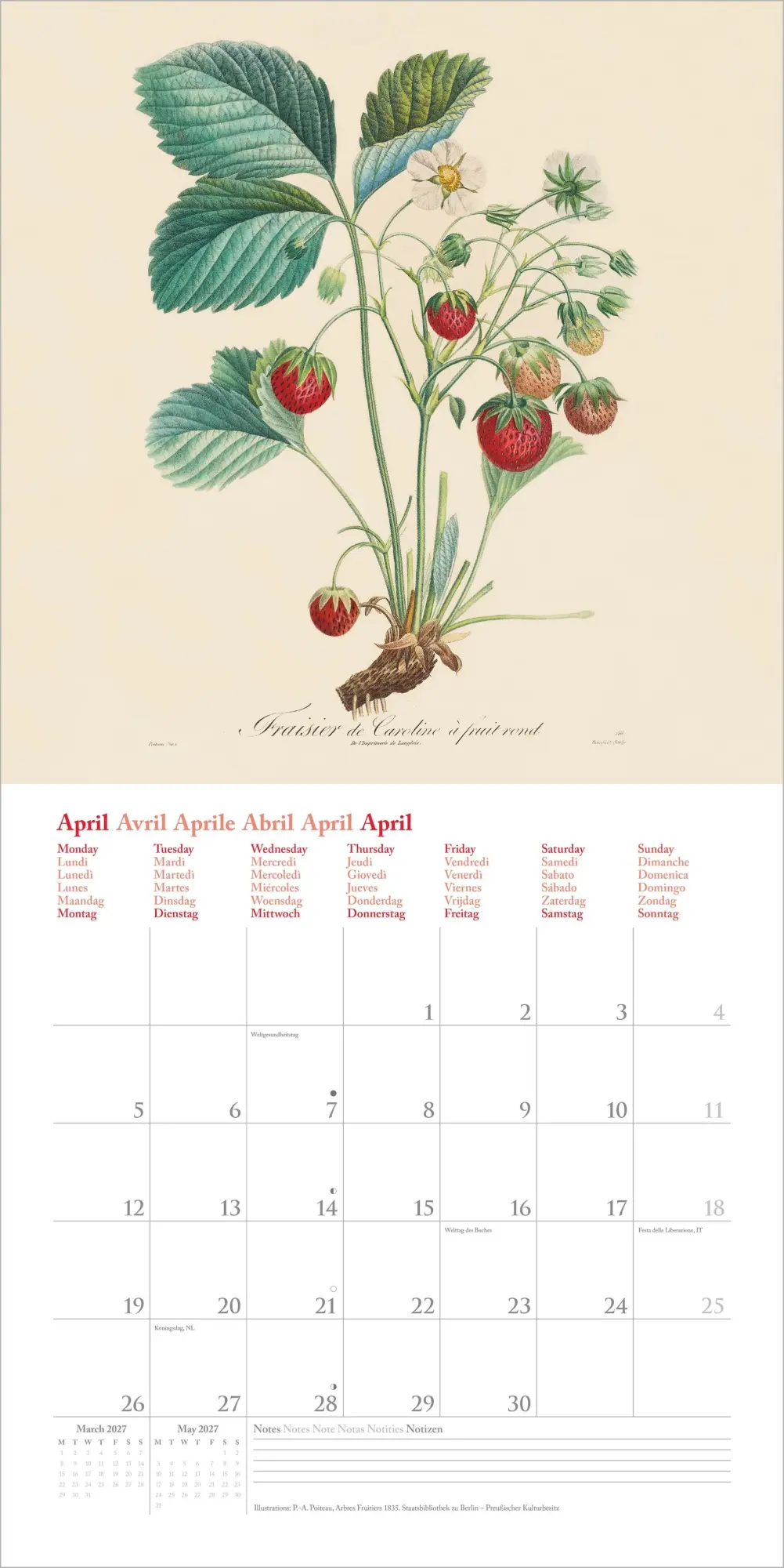 Bild: 4069095014817 | Fruits 2027 | Neumann Verlage GmbH &amp; Co KG | Kalender | 14 S. | 2027
