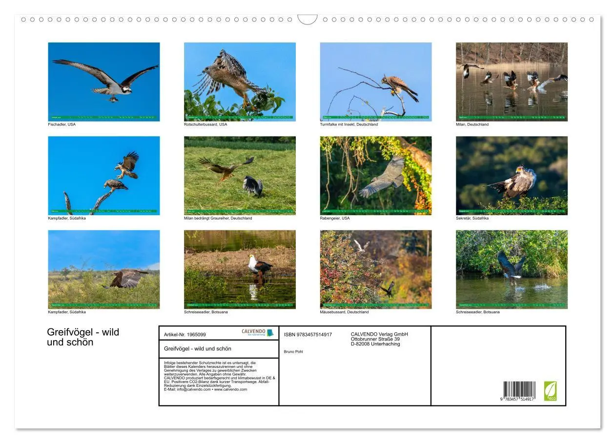Bild: 9783457514917 | Greifvögel - wild und schön (Wandkalender 2026 DIN A2 quer),...