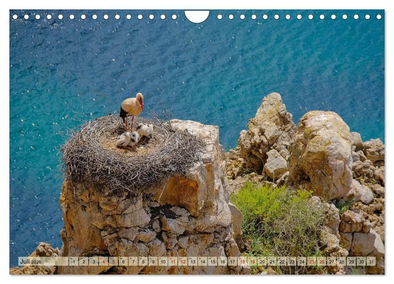 Bild: 9783516604917 | Fischerweg Portugal (Wandkalender 2026 DIN A4 quer), CALVENDO...
