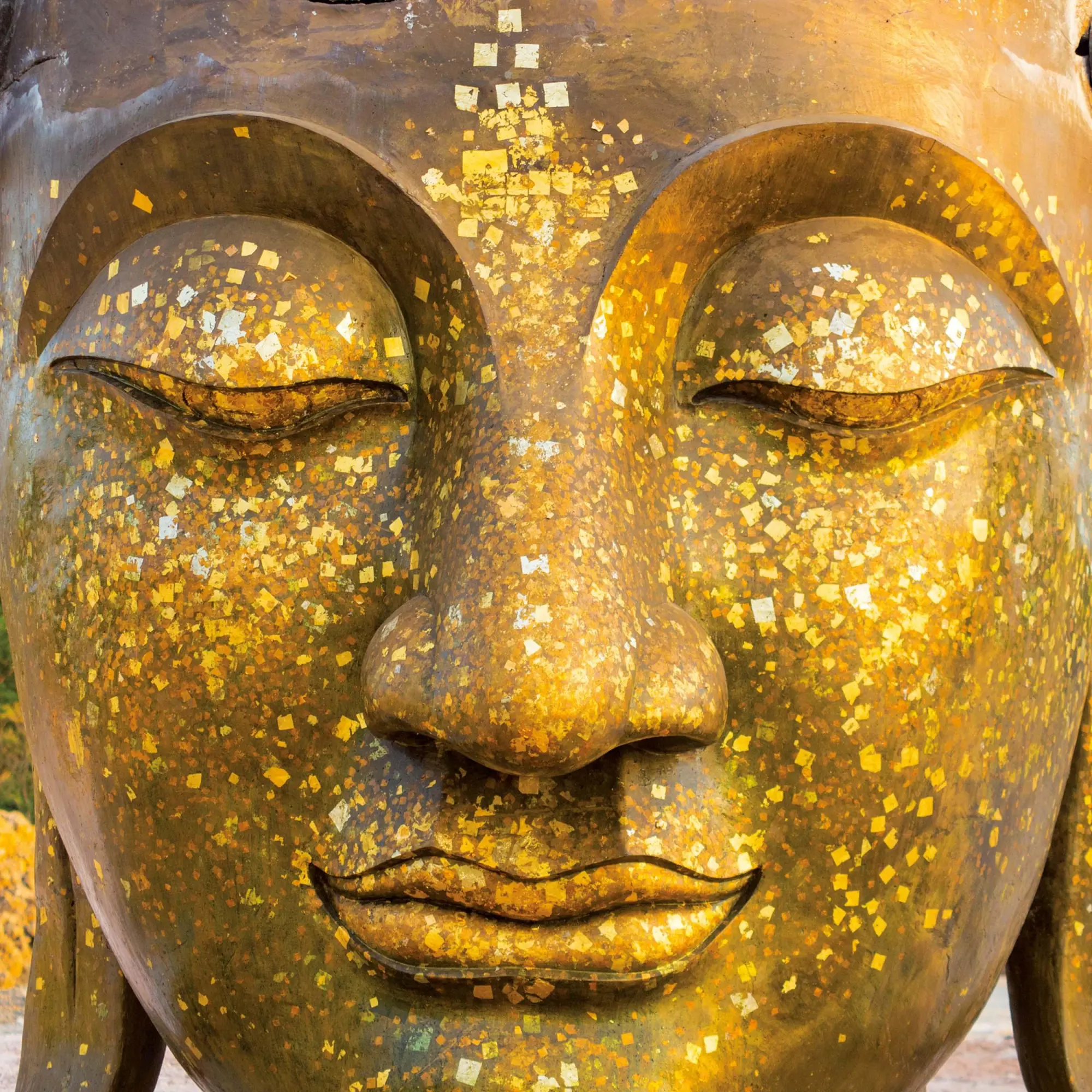 Bild: 9783959295017 | Buddhas Smile 2026 | Kalender 2026 | Kalender | Mindful editions