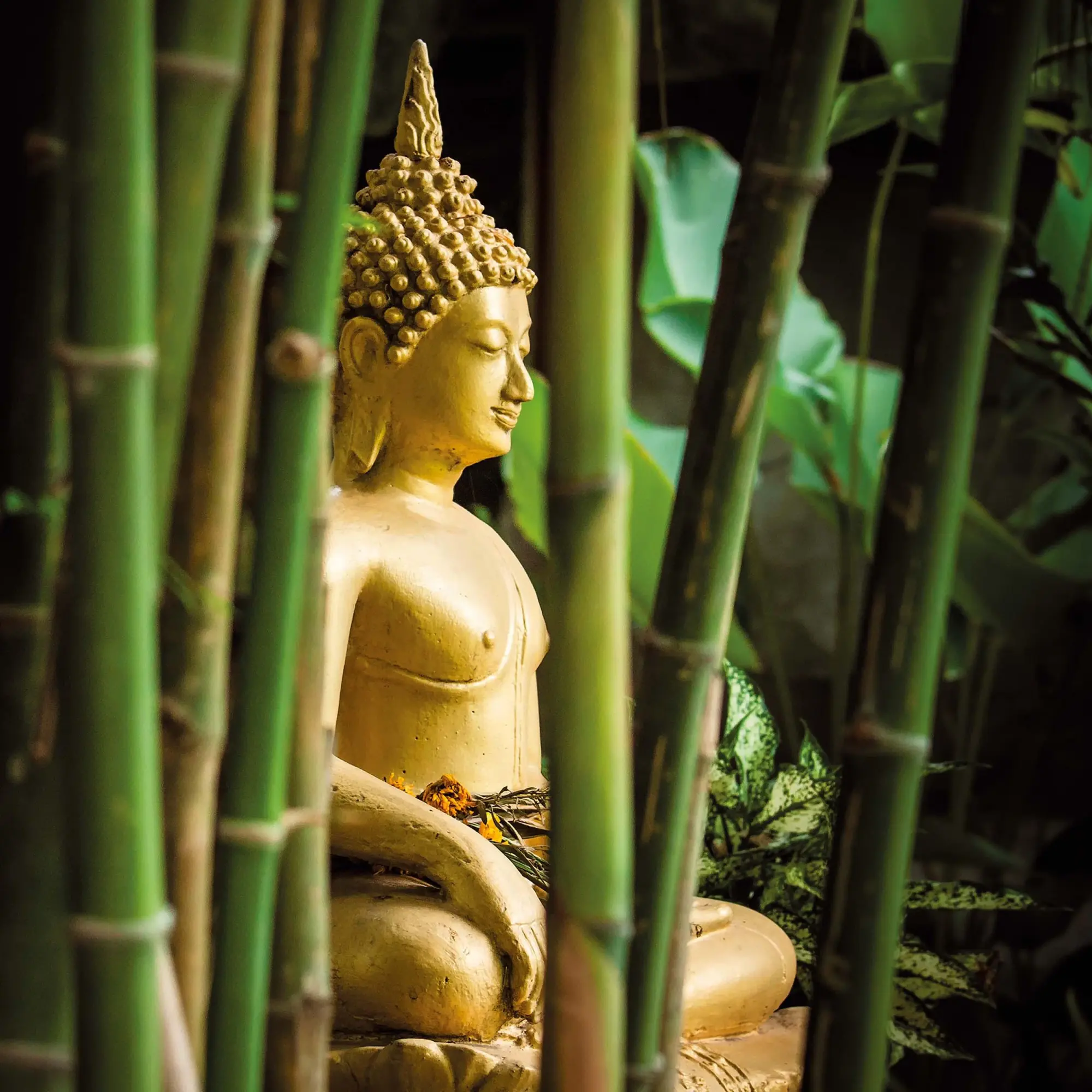 Bild: 9783959295017 | Buddhas Smile 2026 | Kalender 2026 | Kalender | Mindful editions