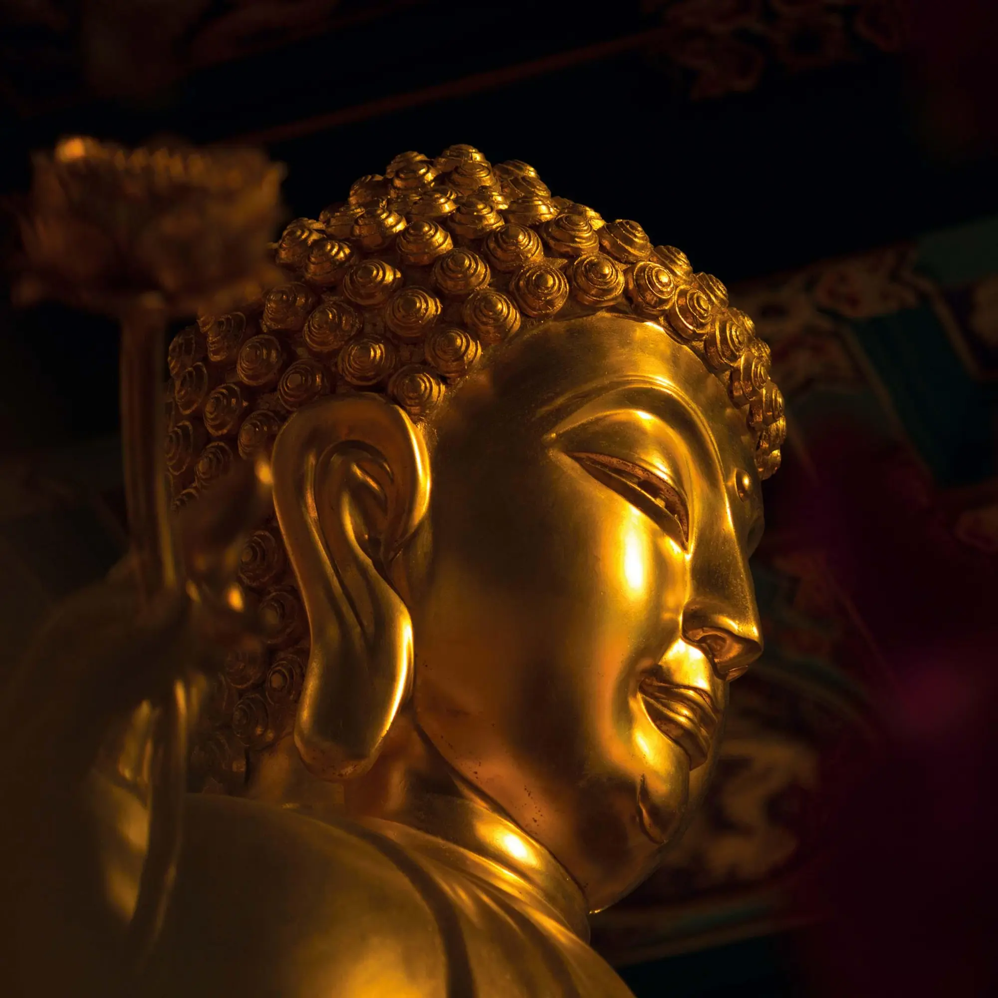 Bild: 9783959295017 | Buddhas Smile 2026 | Kalender 2026 | Kalender | Mindful editions
