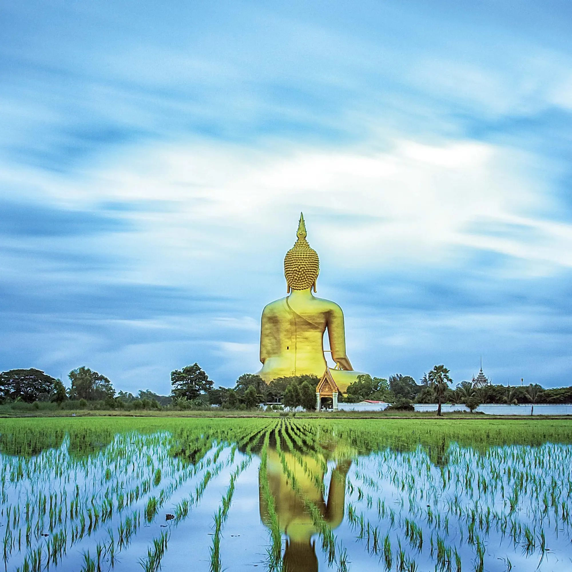 Bild: 9783959295017 | Buddhas Smile 2026 | Kalender 2026 | Kalender | Mindful editions