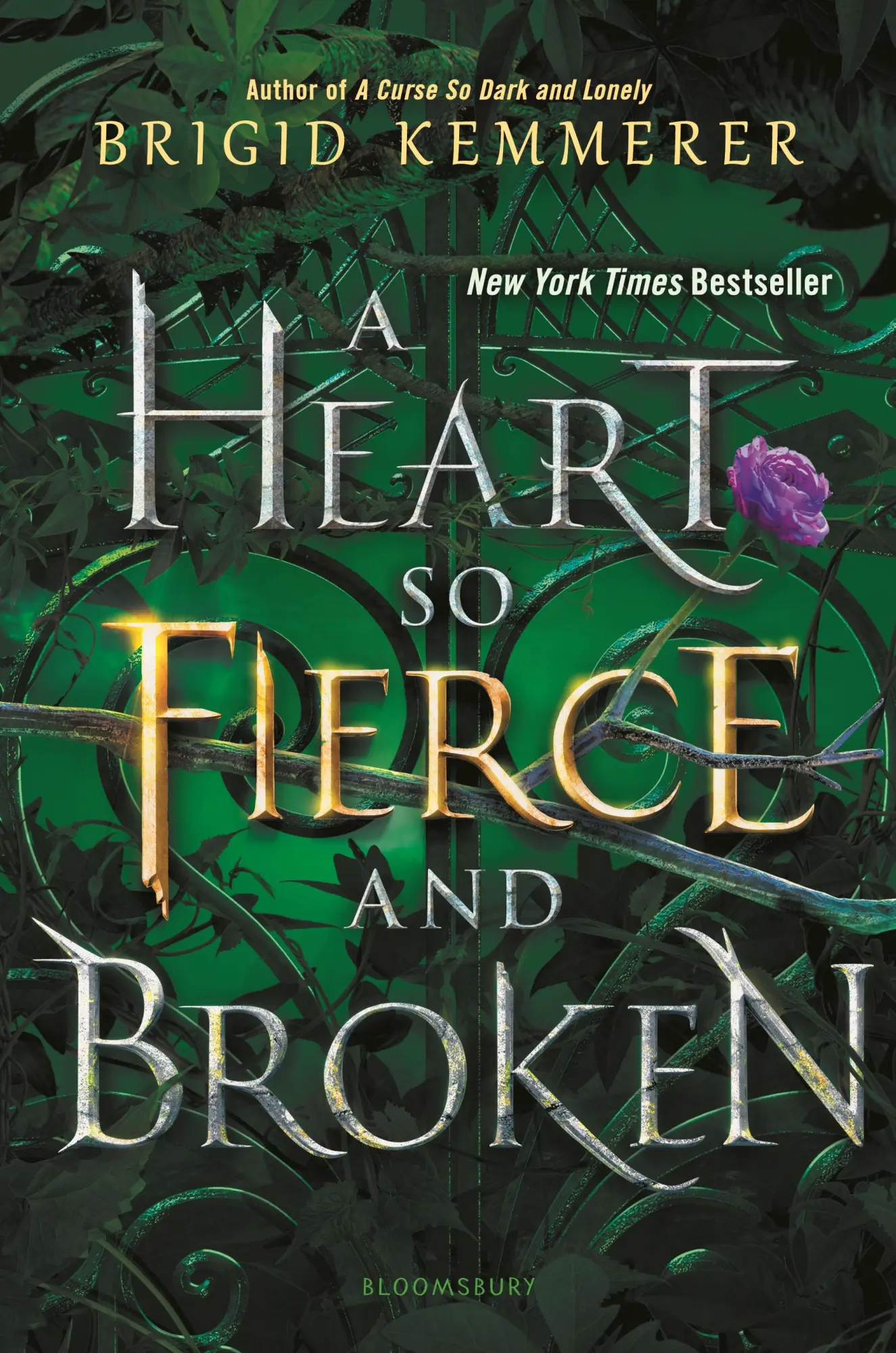 Cover: 9781681195117 | A Heart So Fierce and Broken | Brigid Kemmerer | Buch | Gebunden
