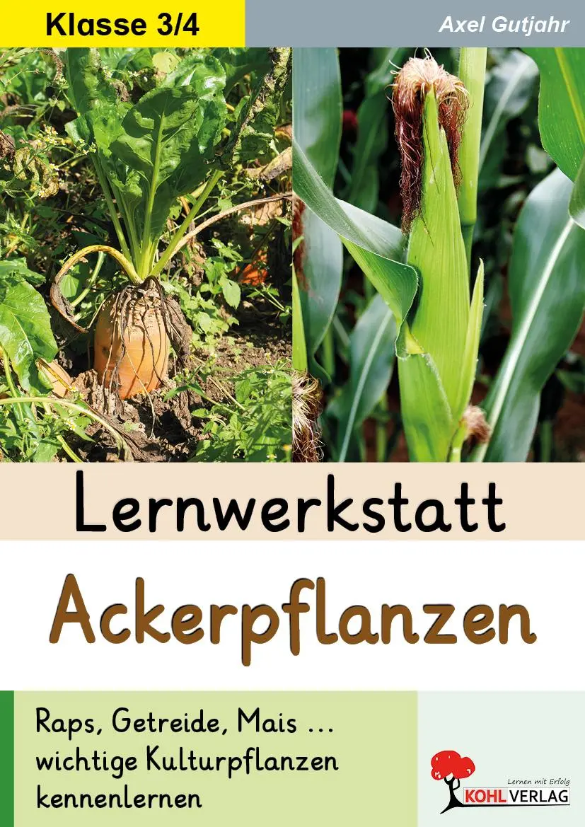 Cover: 9783692575117 | Lernwerkstatt Ackerpflanzen | Axel Gutjahr | Taschenbuch | 40 S.
