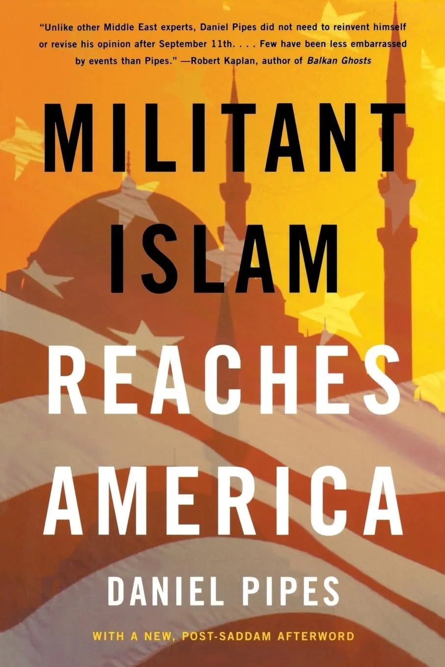 Cover: 9780393325317 | Militant Islam Reaches America | Daniel Pipes | Taschenbuch | Englisch