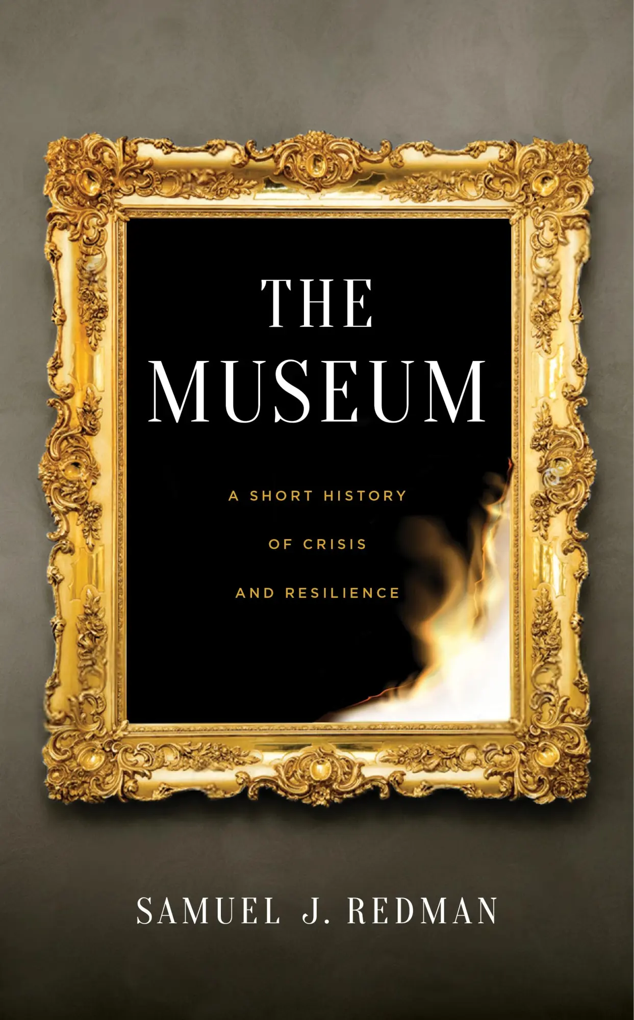 Cover: 9781479835317 | The Museum | A Short History of Crisis and Resilience | Redman | Buch