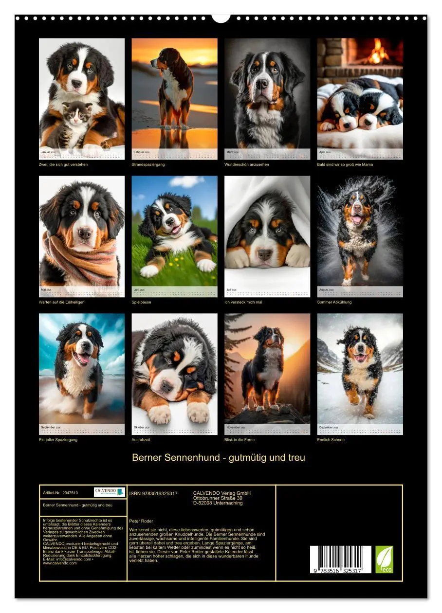 Bild: 9783516325317 | Berner Sennenhund - gutmütig und treu (hochwertiger Premium...