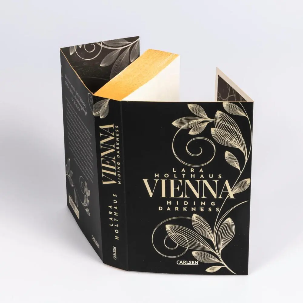 Bild: 9783551585417 | Vienna 2: Hiding Darkness | Lara Holthaus | Taschenbuch | Vienna