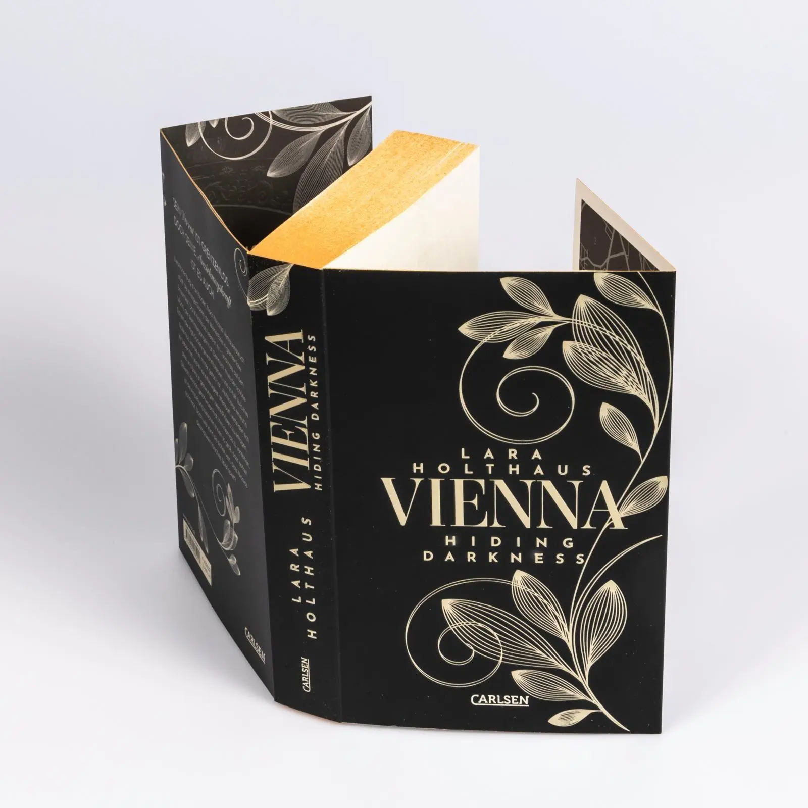 Bild: 9783551585417 | Vienna 2: Hiding Darkness | Lara Holthaus | Taschenbuch | Vienna
