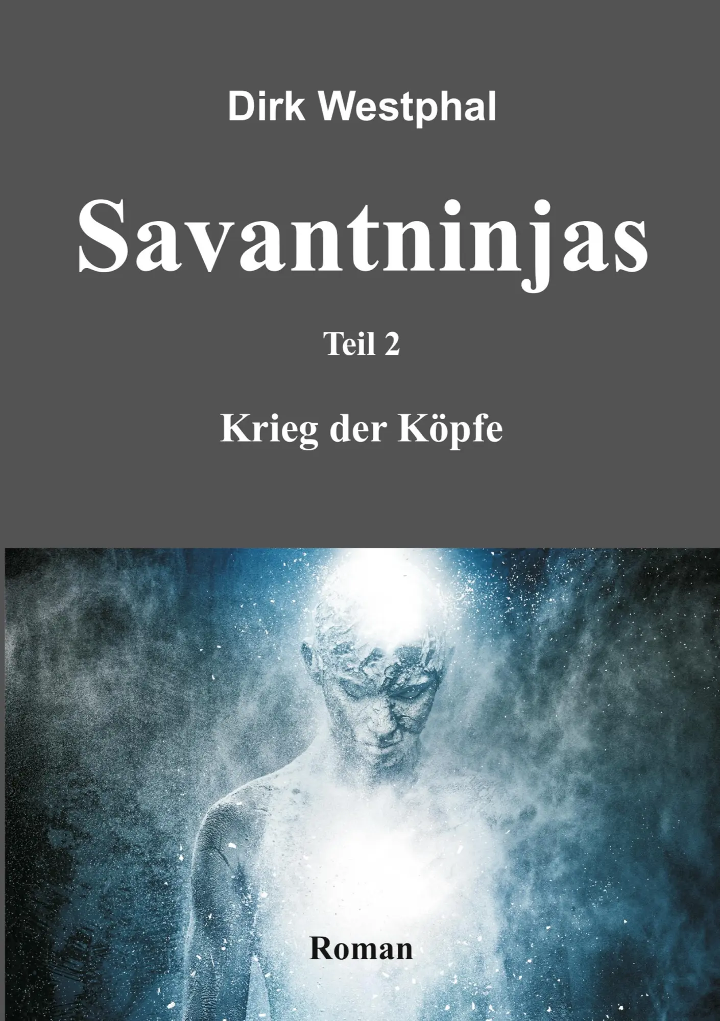 SAVANTNINJAS - Dirk Westphal Kartoniert (TB)