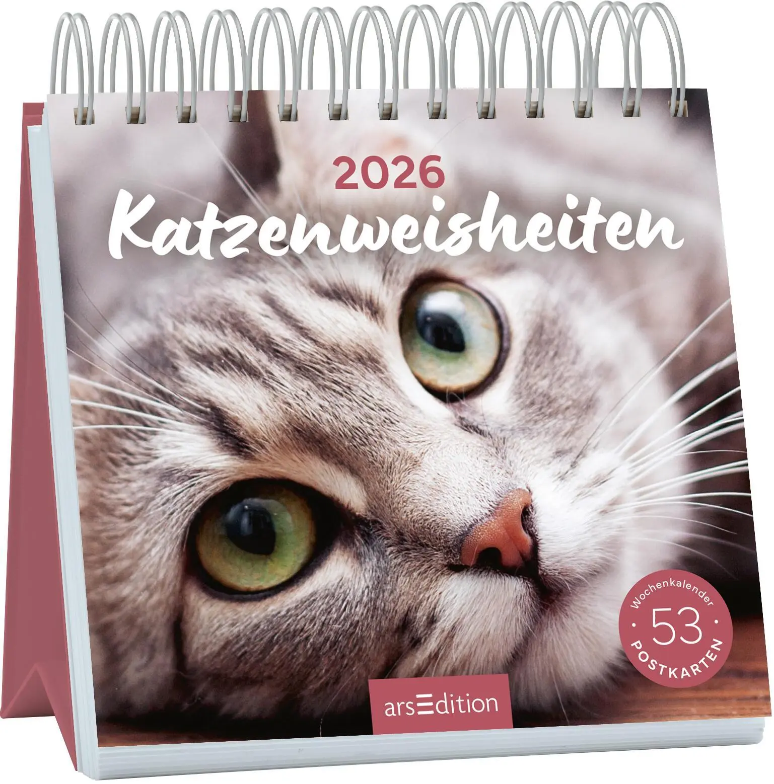 Cover: 4014489135517 | Postkartenkalender Katzenweisheiten 2026 | Kalender | Spiralaufsteller