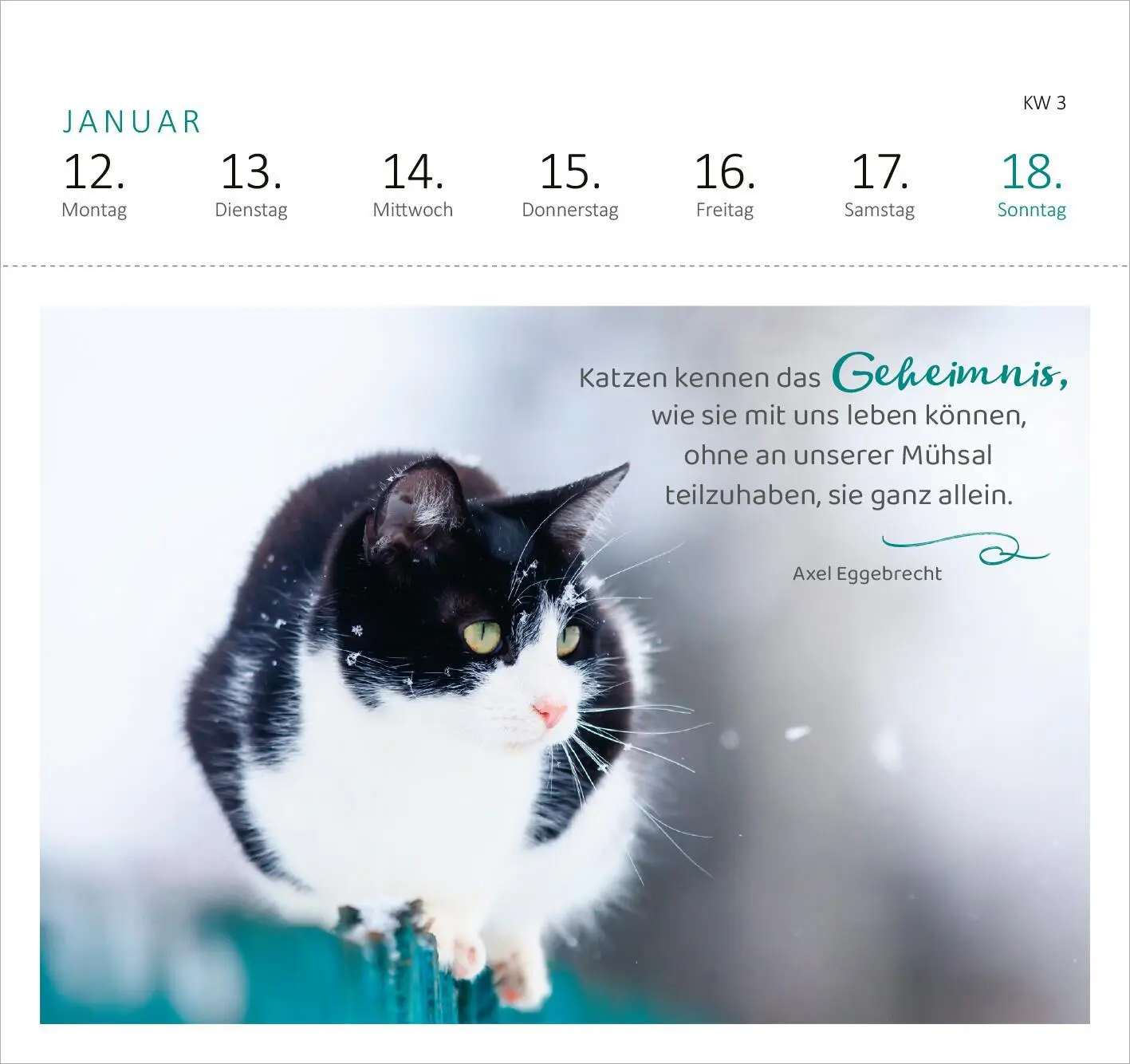 Bild: 4014489135517 | Postkartenkalender Katzenweisheiten 2026 | Kalender | Spiralaufsteller