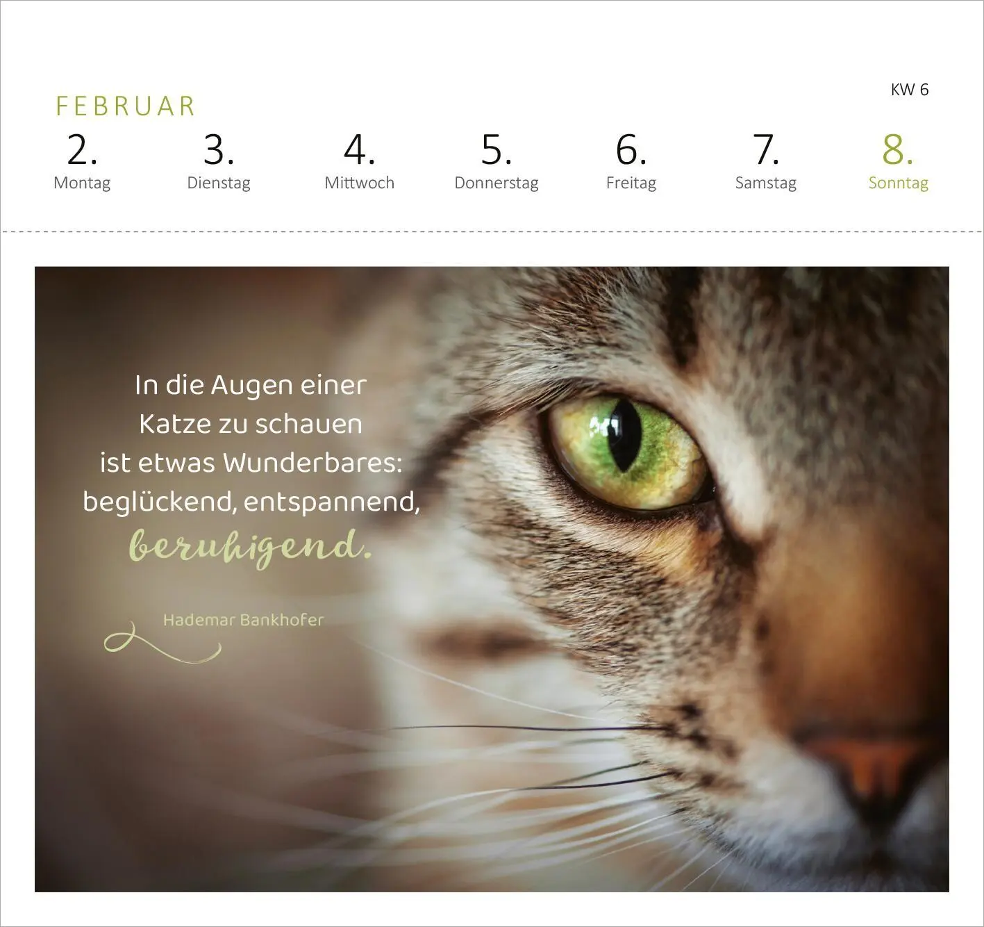 Bild: 4014489135517 | Postkartenkalender Katzenweisheiten 2026 | Kalender | Spiralaufsteller