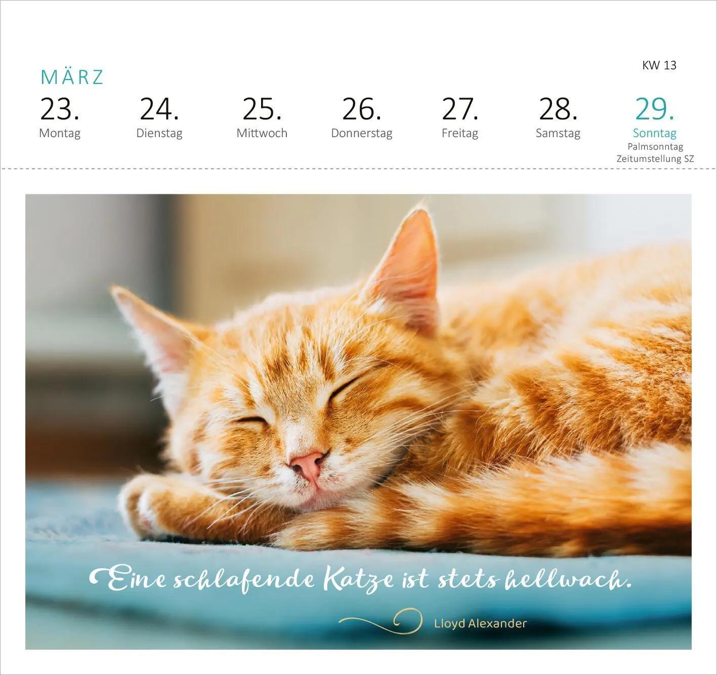 Bild: 4014489135517 | Postkartenkalender Katzenweisheiten 2026 | Kalender | Spiralaufsteller