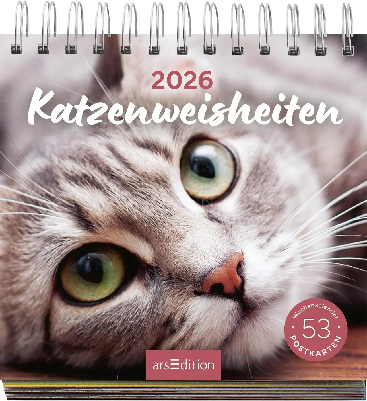 Bild: 4014489135517 | Postkartenkalender Katzenweisheiten 2026 | Kalender | Spiralaufsteller