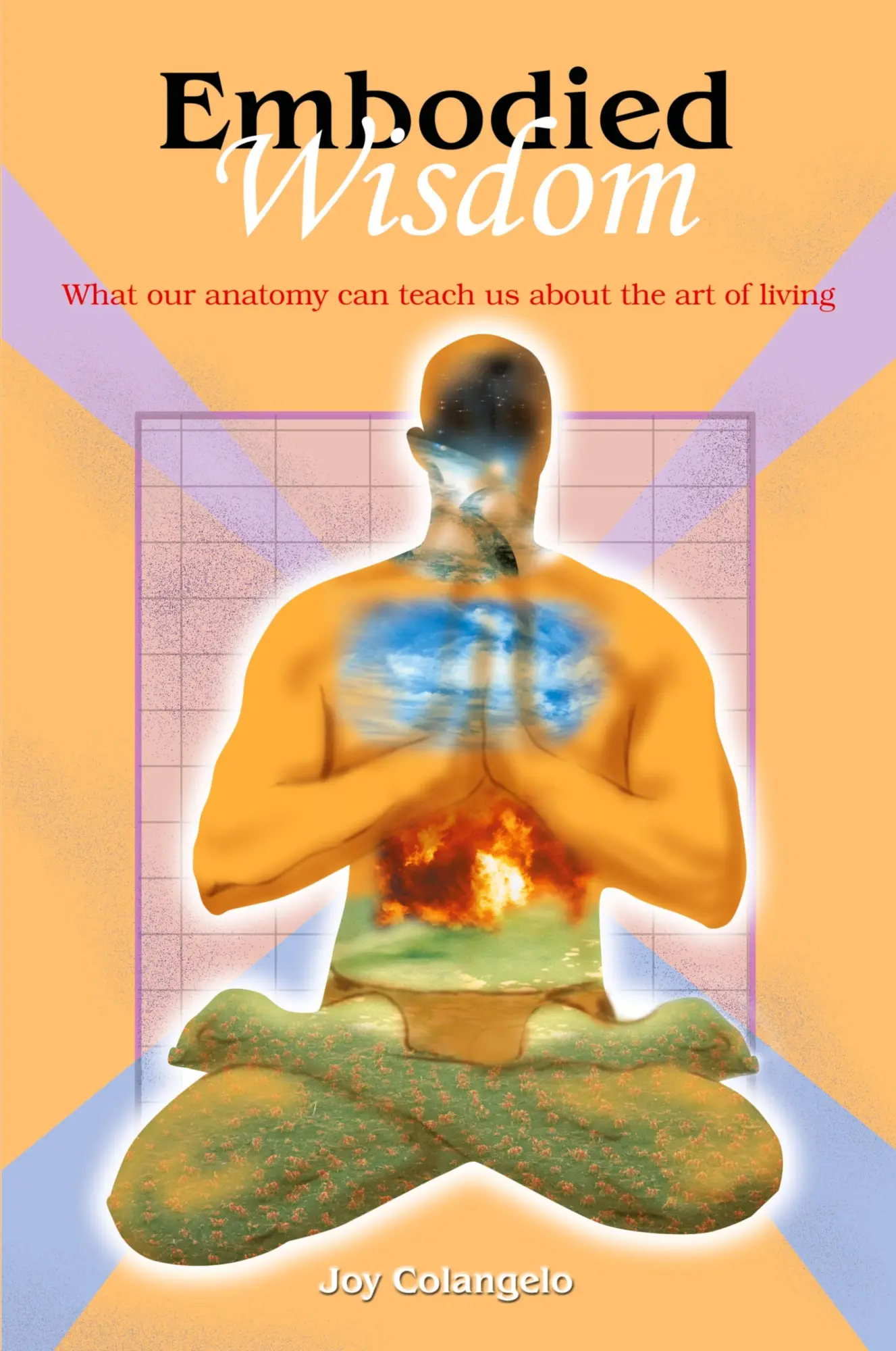 Cover: 9780595295517 | Embodied Wisdom | Joy Colangelo | Taschenbuch | Englisch | 2003