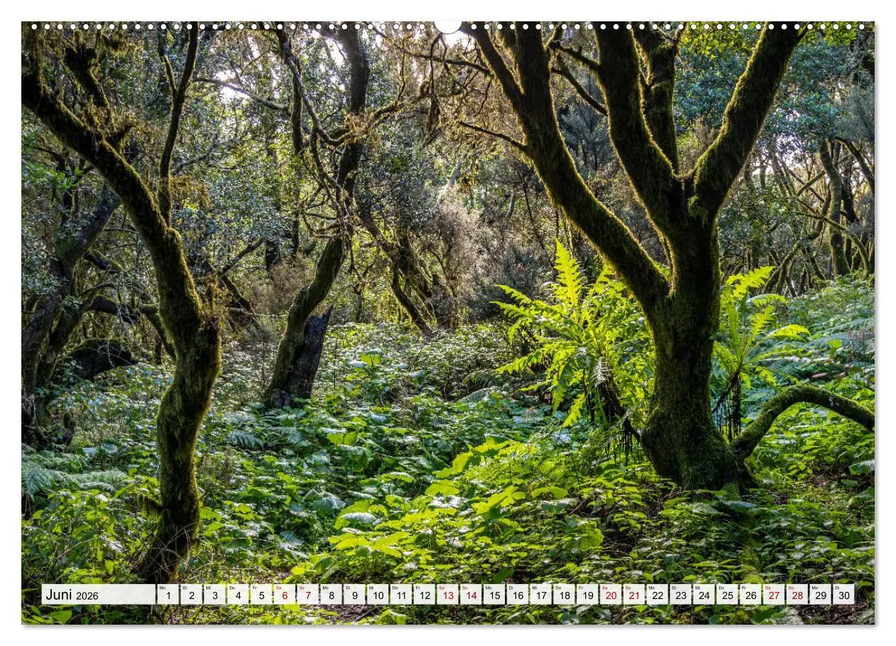 Bild: 9783457385517 | Kanarische Inseln - El Hierro (Wandkalender 2026 DIN A2 quer),...