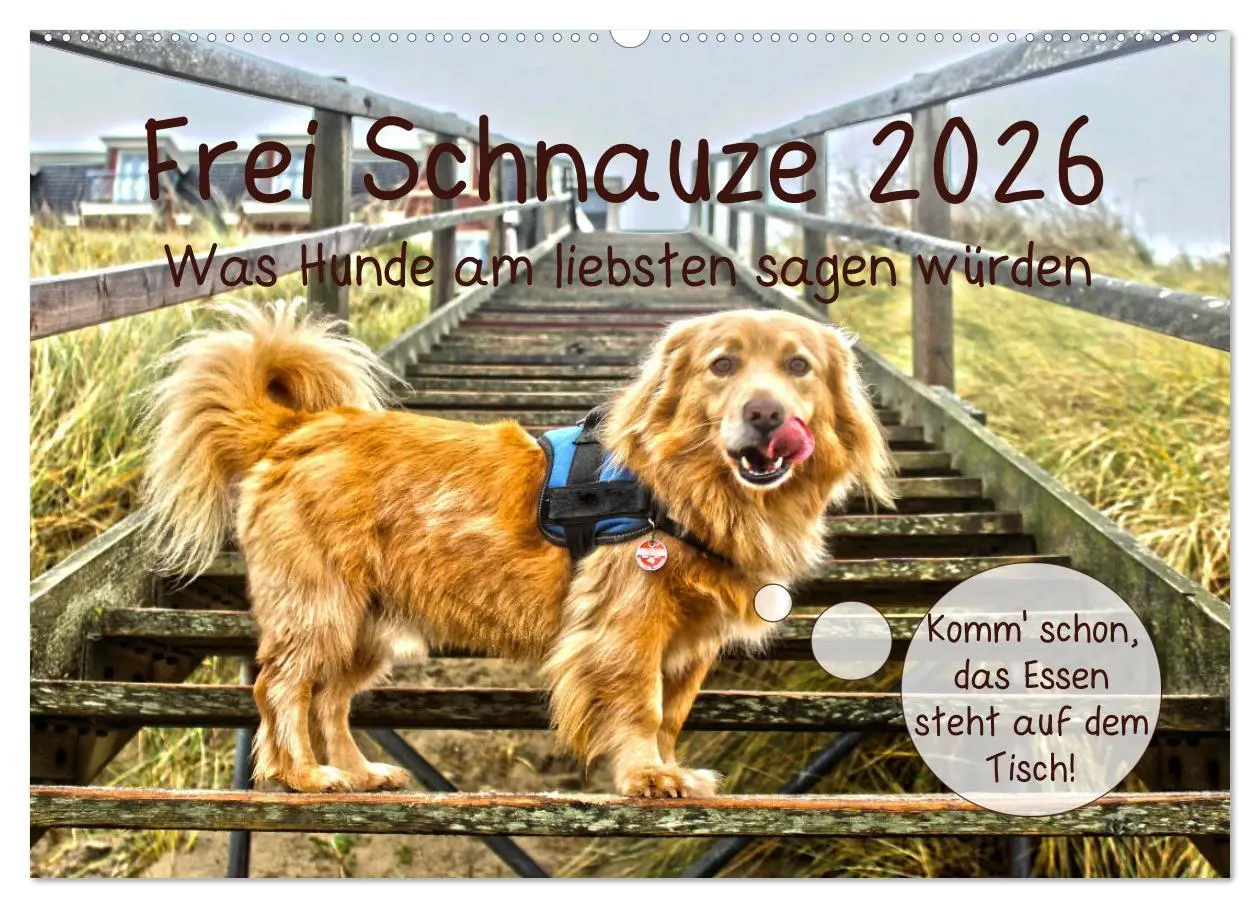 Cover: 9783457835517 | Frei Schnauze 2026. Was Hunde am liebsten sagen würden...