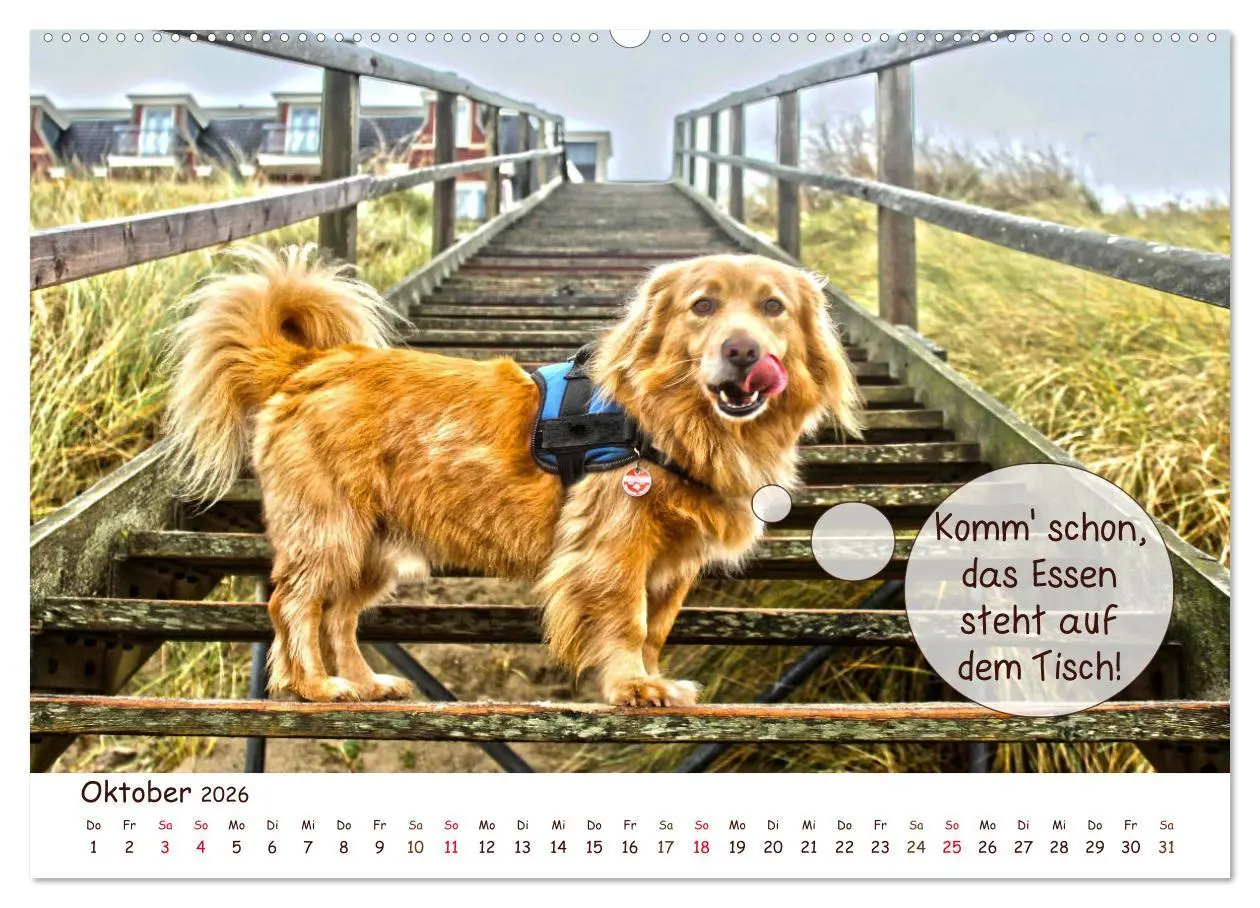 Bild: 9783457835517 | Frei Schnauze 2026. Was Hunde am liebsten sagen würden...