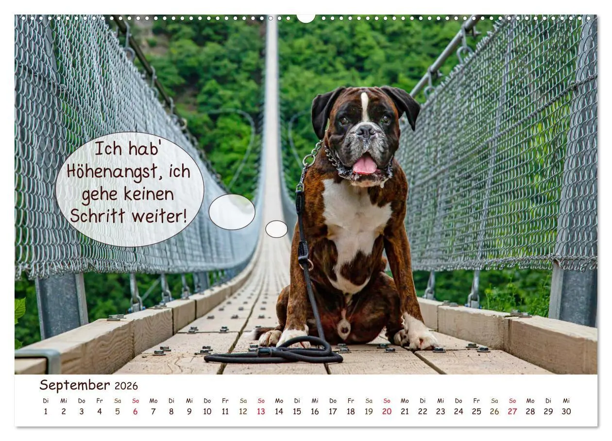 Bild: 9783457835517 | Frei Schnauze 2026. Was Hunde am liebsten sagen würden...