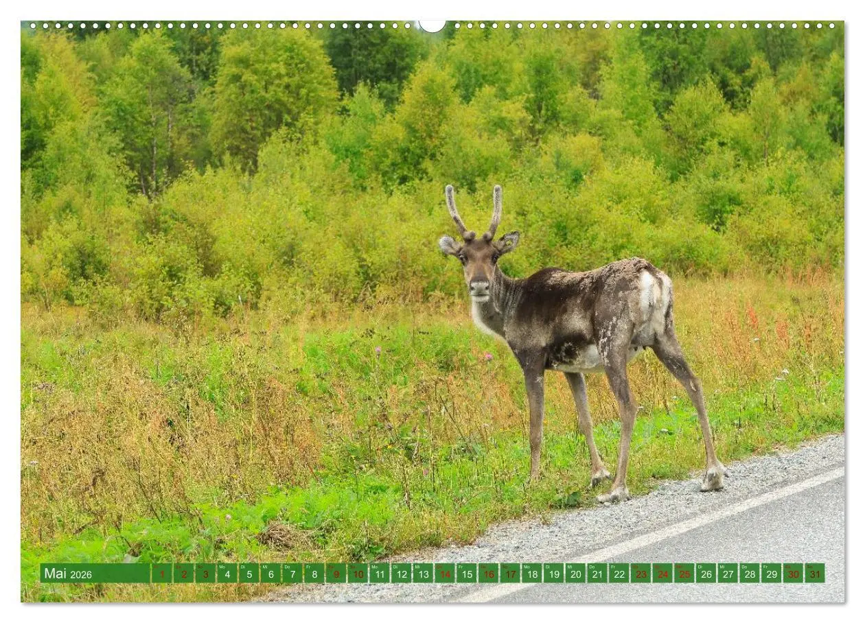 Bild: 9783516235517 | Finnisch Lappland (hochwertiger Premium Wandkalender 2026 DIN A2...
