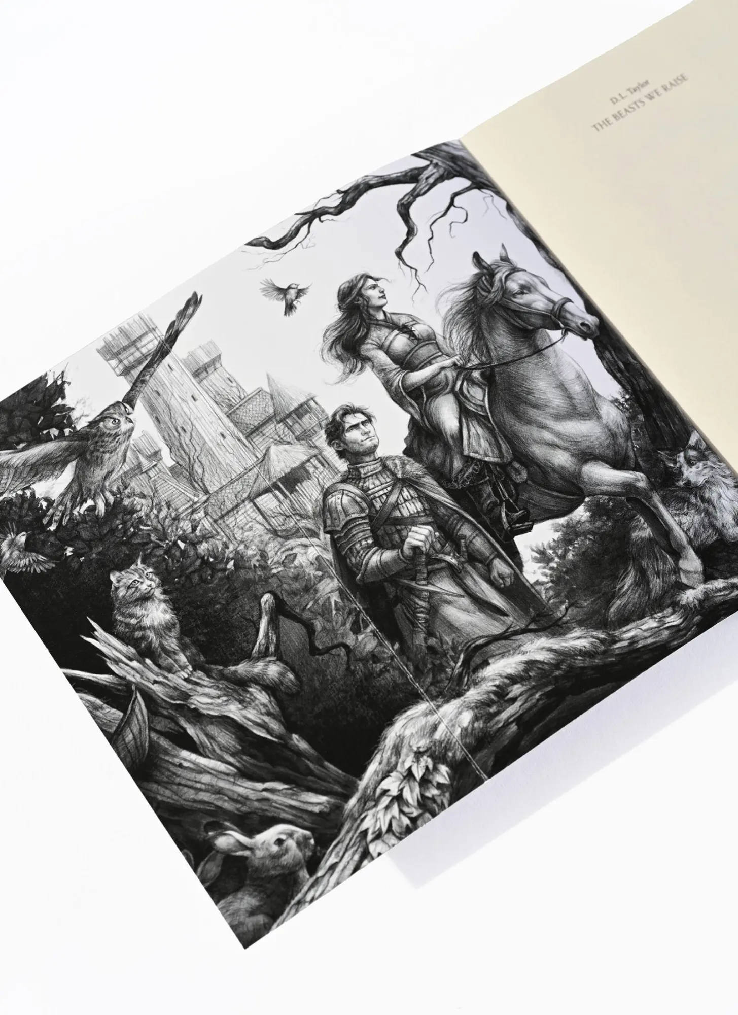 Bild: 9783961295517 | The Beasts We Raise (Band 2) | Düstere und tiefgründige High-Fantasy