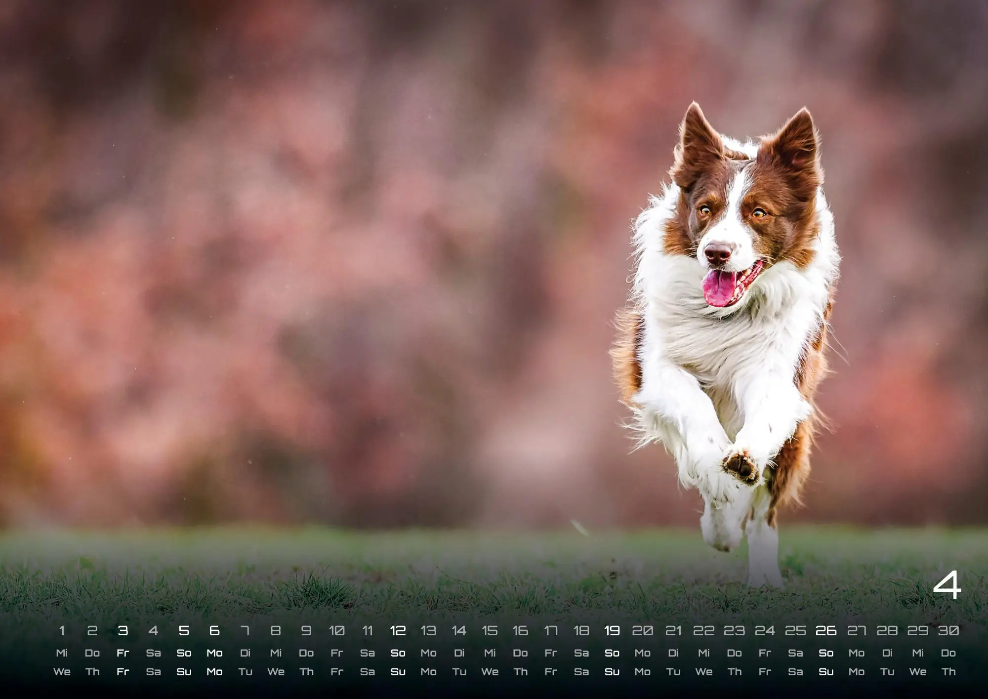 Bild: 9783986735517 | Wuff - Unsere Vierbeiner - Der Hundekalender - 2026 - Kalender DIN A3