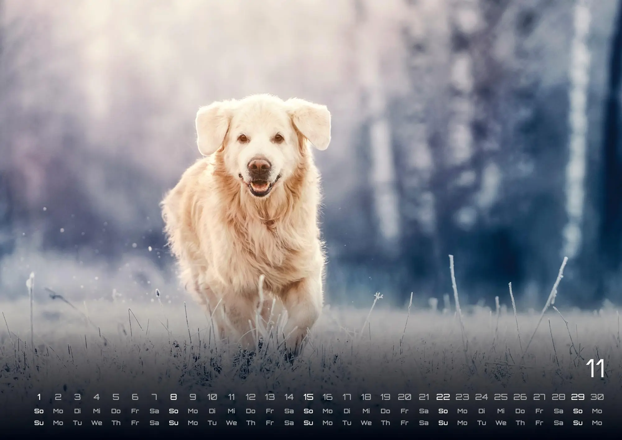 Bild: 9783986735517 | Wuff - Unsere Vierbeiner - Der Hundekalender - 2026 - Kalender DIN A3