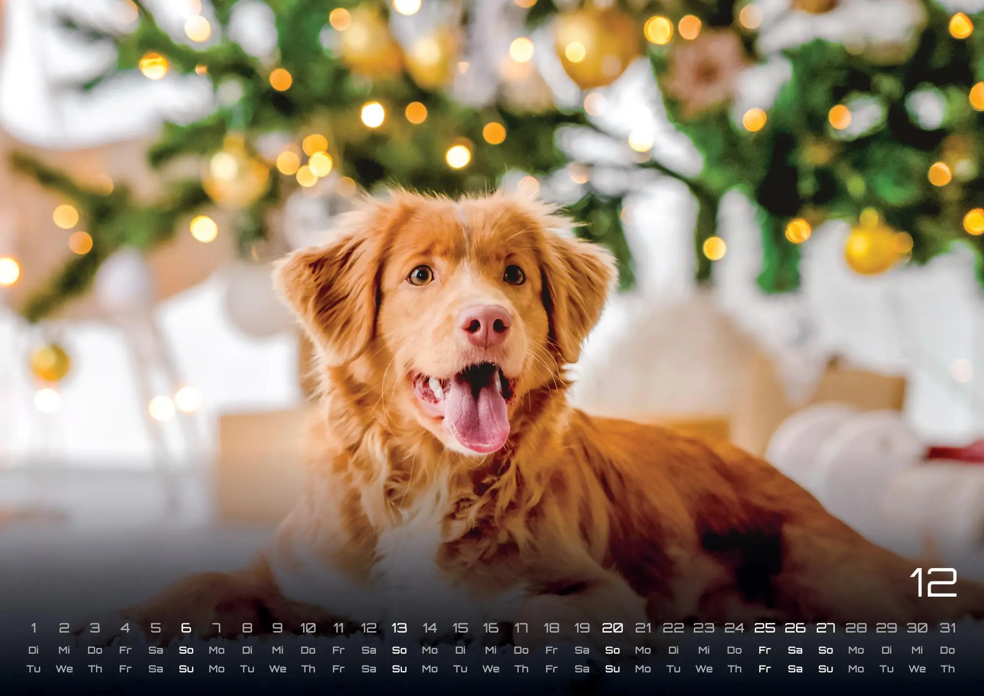 Bild: 9783986735517 | Wuff - Unsere Vierbeiner - Der Hundekalender - 2026 - Kalender DIN A3