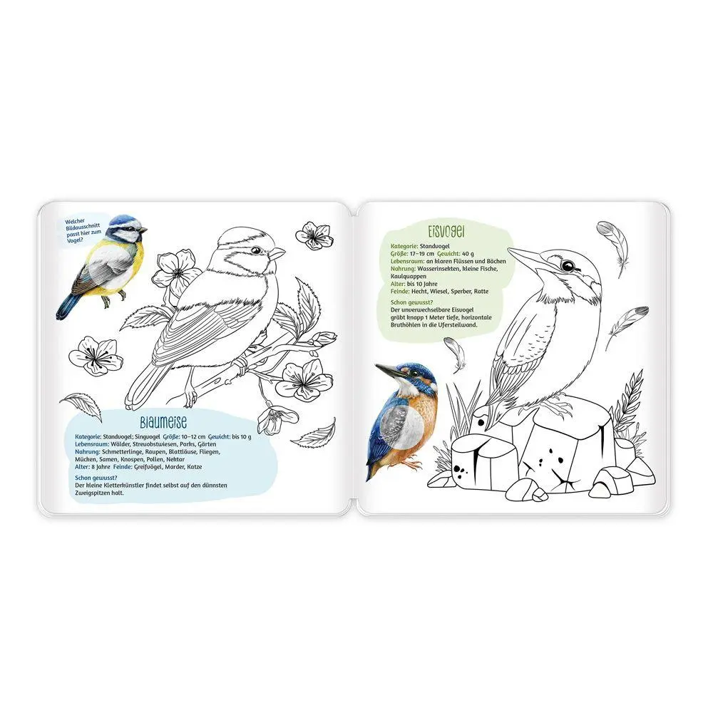 Bild: 9783988025517 | TRÖTSCH - Stickermalbuch Unsere Vogelwelt Malbuch mit Stickern Ab 5...