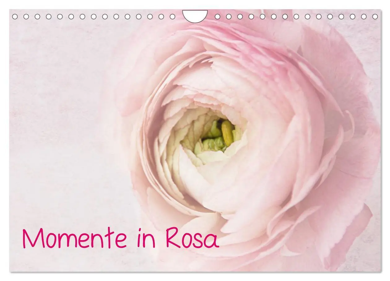 Cover: 9783516225617 | Momente in Rosa (Wandkalender 2026 DIN A4 quer), CALVENDO...