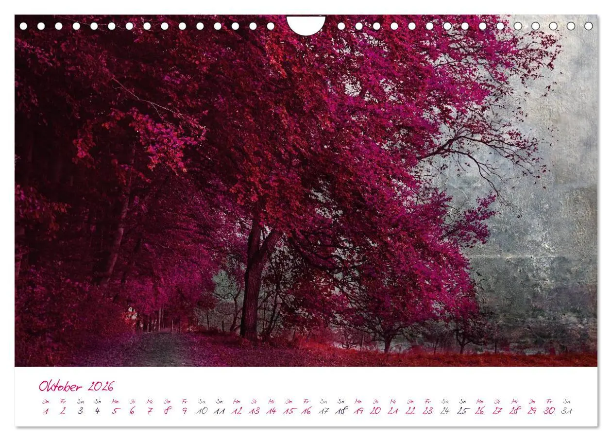 Bild: 9783516225617 | Momente in Rosa (Wandkalender 2026 DIN A4 quer), CALVENDO...