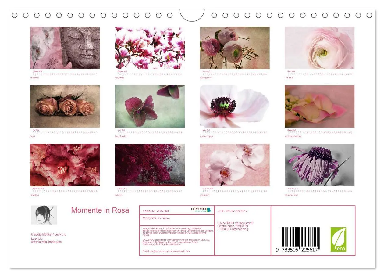 Bild: 9783516225617 | Momente in Rosa (Wandkalender 2026 DIN A4 quer), CALVENDO...